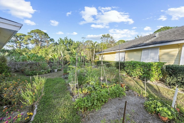 view of yard with a vegetable garden