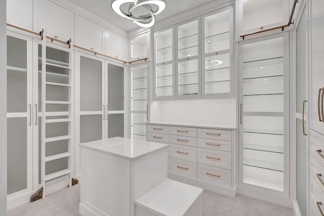 walk in closet with light carpet