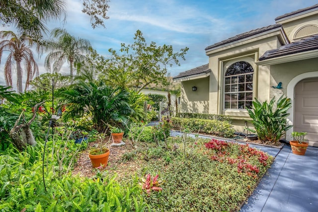 6861 Briarlake Cir, Palm Beach Gardens, FL 33418 - view of yard