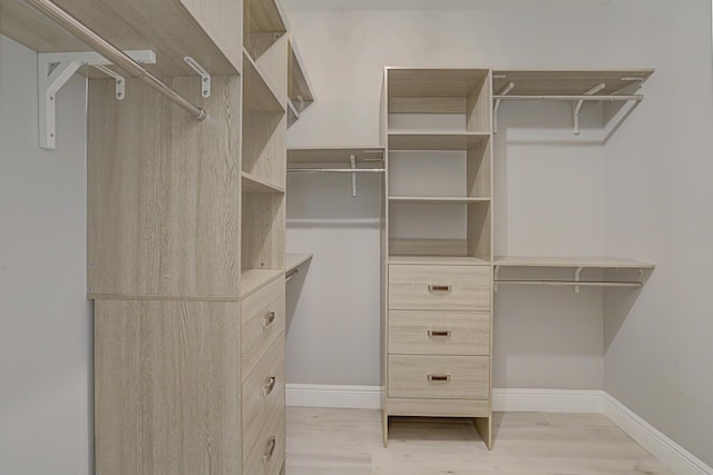 spacious closet with light wood-type flooring