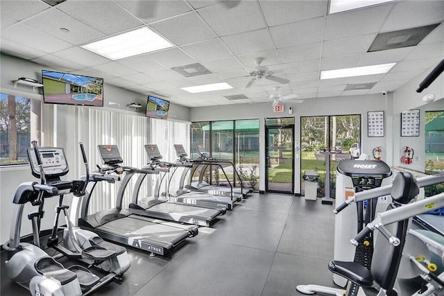 workout area with ceiling fan and a drop ceiling