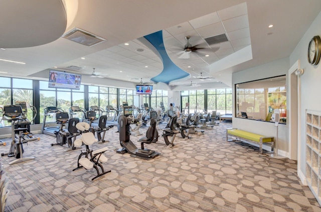 workout area featuring ceiling fan, carpet floors, and plenty of natural light