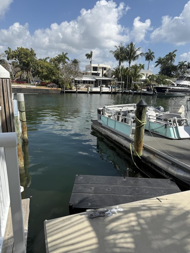 dock area with a water view