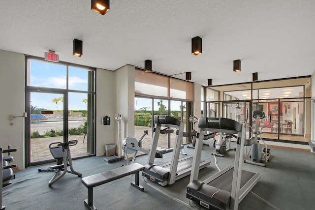 workout area with expansive windows, a textured ceiling, and a wealth of natural light