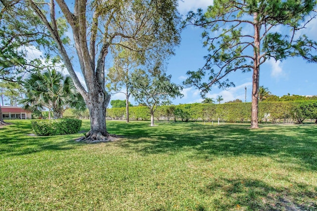 233 Down E Ln, Lake Worth, FL 33467 - view of green lawn