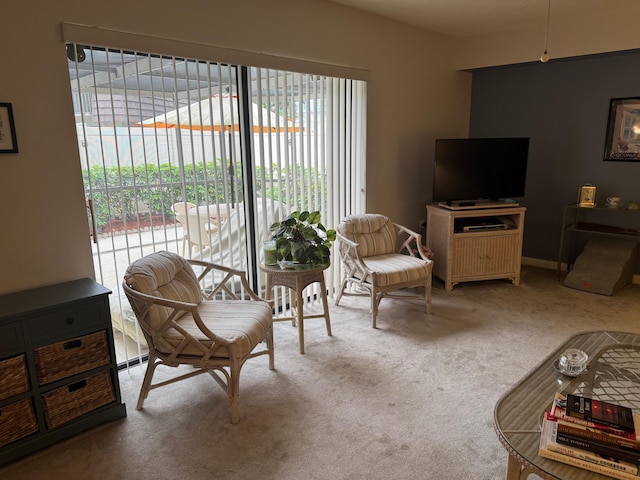 view of carpeted living room