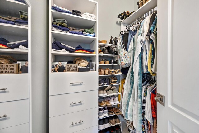 view of spacious closet