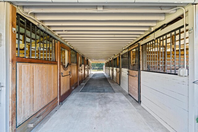 view of horse barn