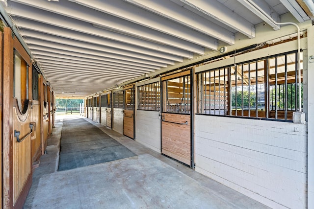 view of horse barn