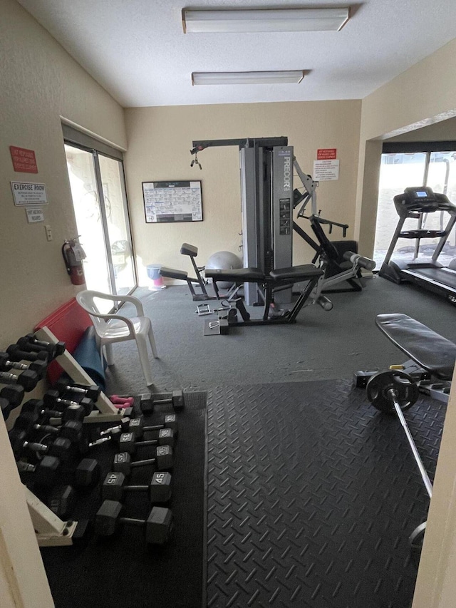 exercise room with plenty of natural light