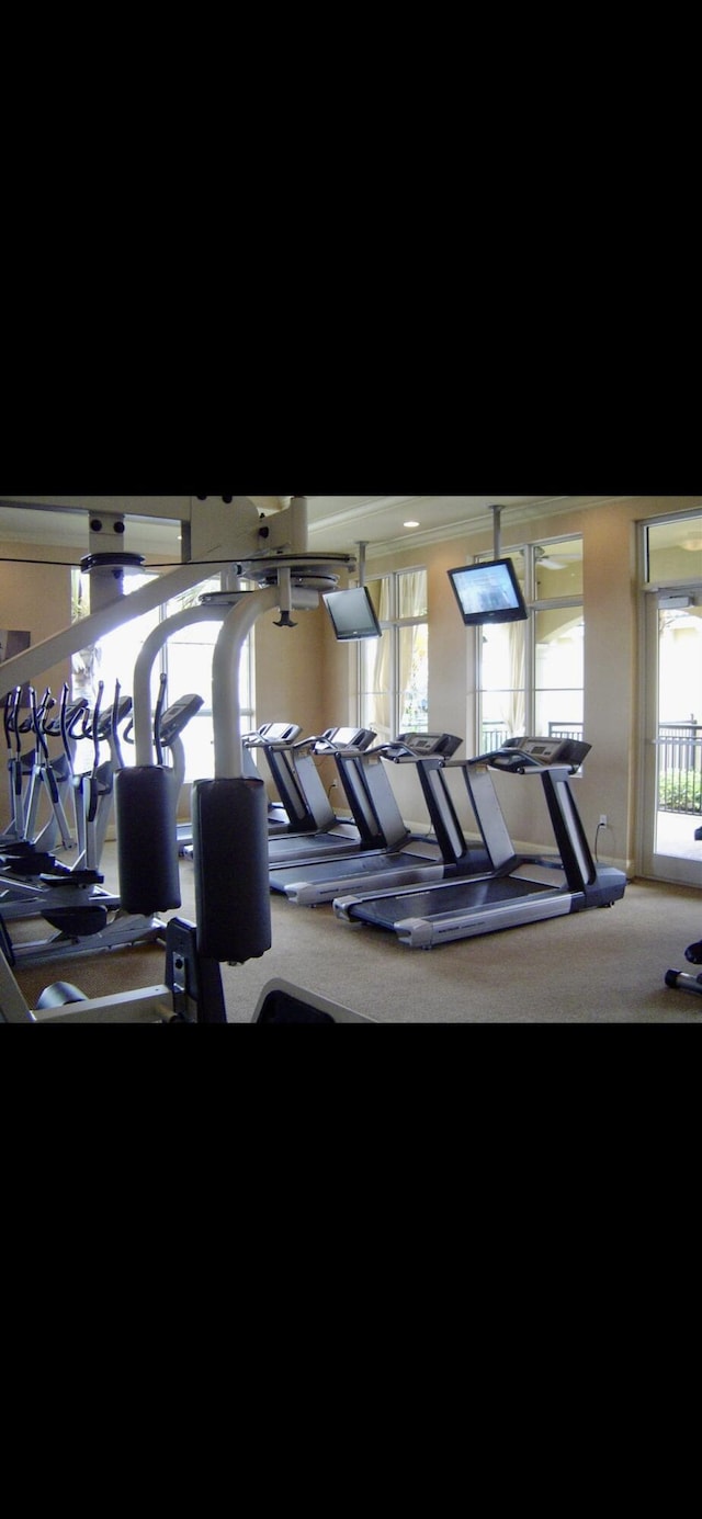 exercise room featuring carpet