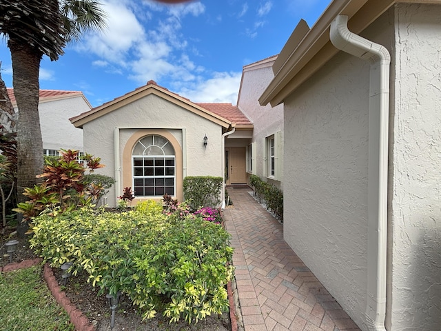 view of exterior entry with a tile roof and stucco siding