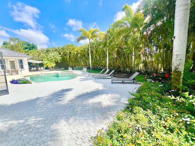 outdoor pool featuring a patio area