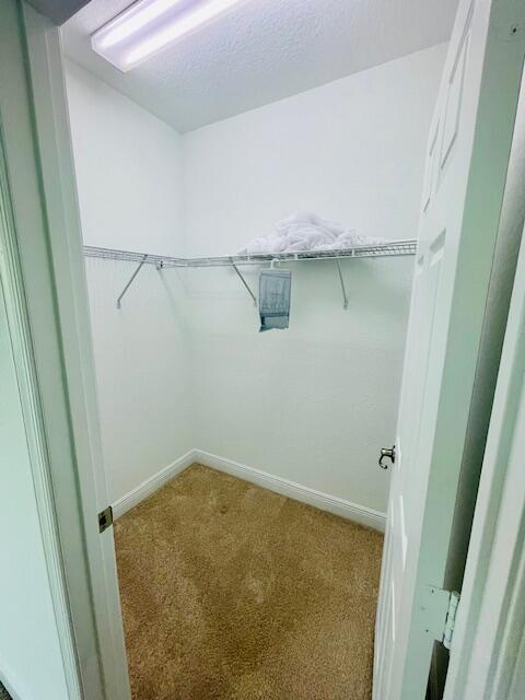 walk in closet with carpet