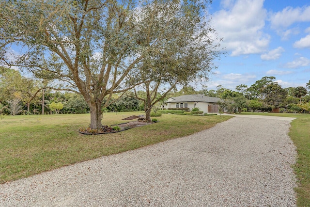 ranch-style house featuring driveway and a front yard