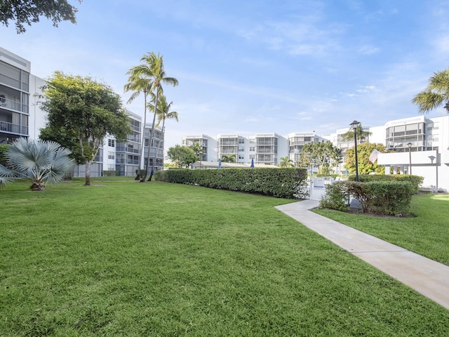 surrounding community featuring a yard