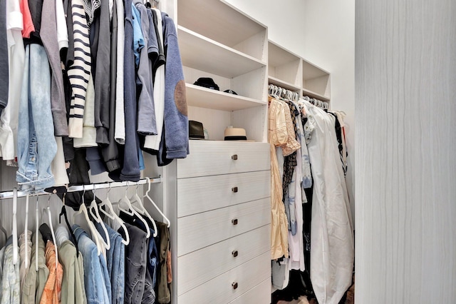 view of spacious closet