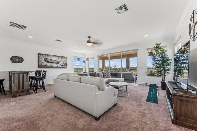 workout area with carpet floors, a ceiling fan, visible vents, and crown molding