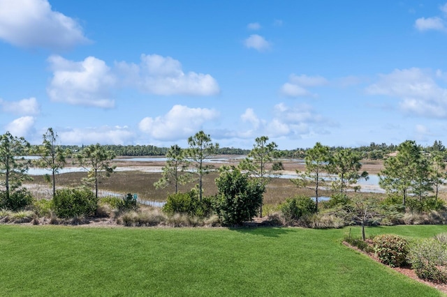 view of yard with a water view