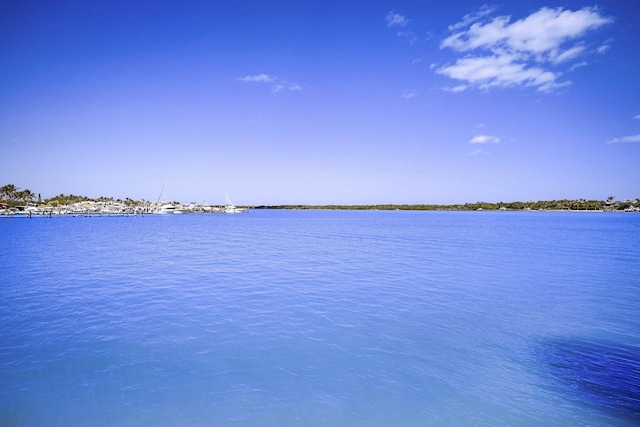 view of water feature