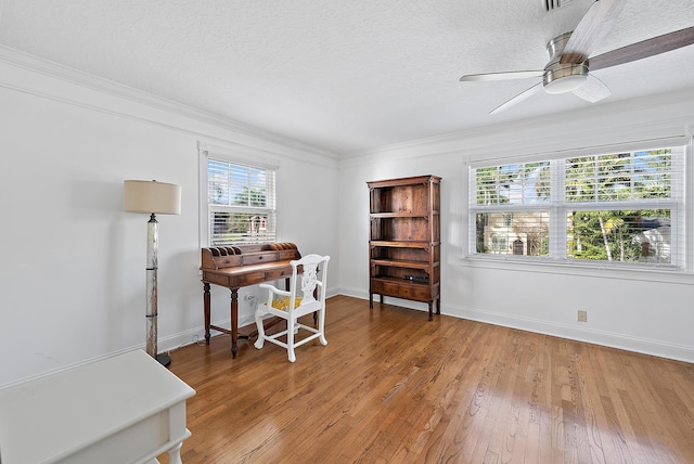 office space featuring light wood finished floors, baseboards, a ceiling fan, crown molding, and a textured ceiling