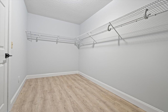 walk in closet featuring light wood finished floors