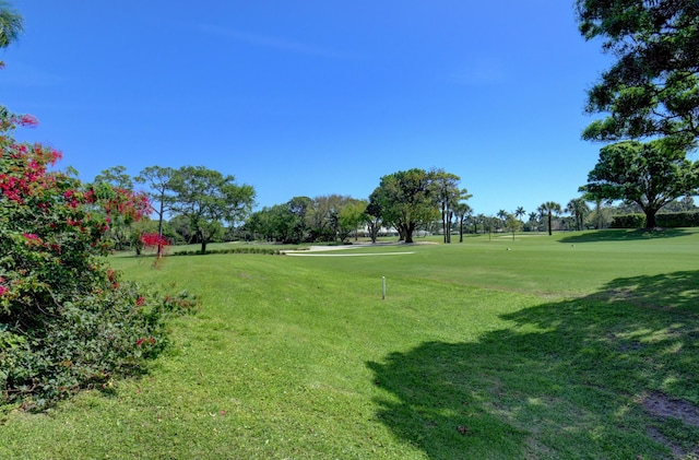 view of community featuring a yard