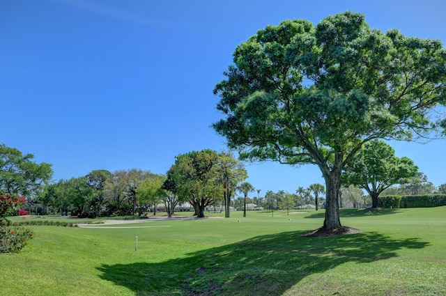 view of home's community featuring a lawn