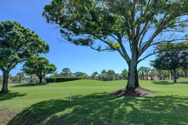 view of community featuring a yard and golf course view