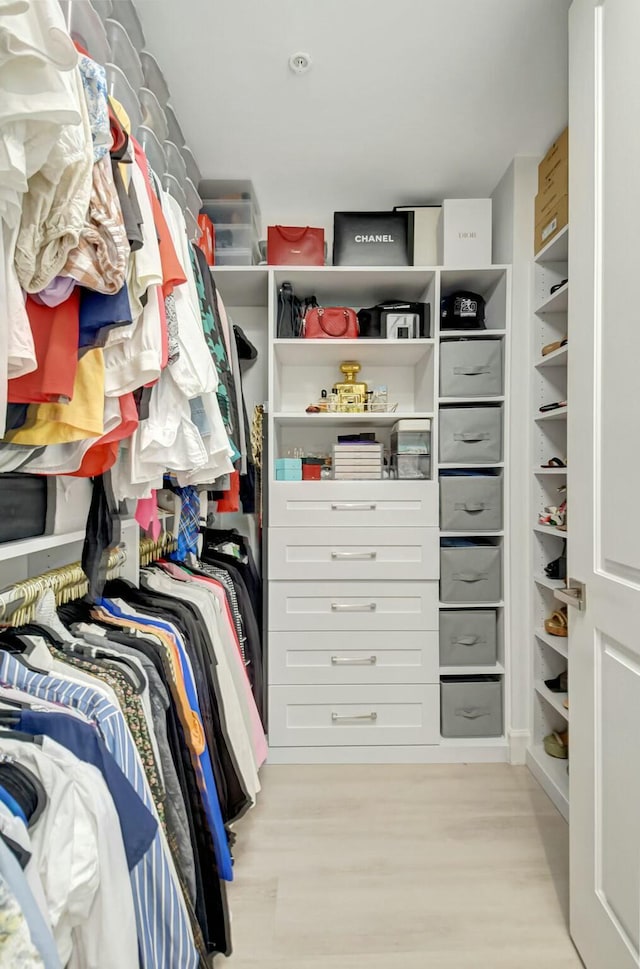 walk in closet with light wood-type flooring