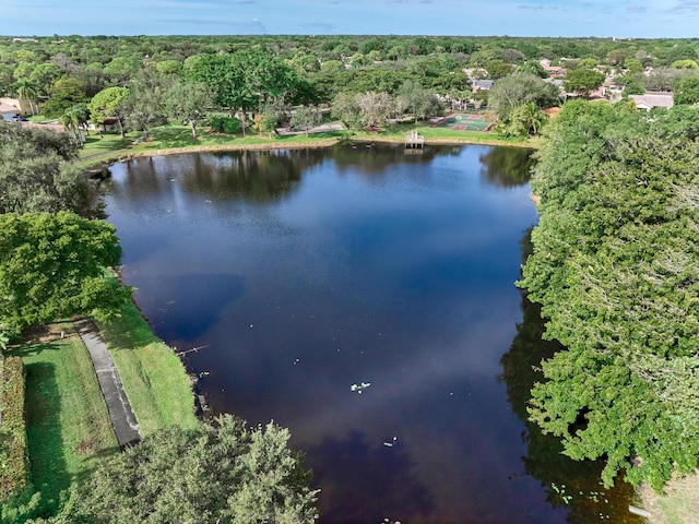 aerial view with a water view and a view of trees