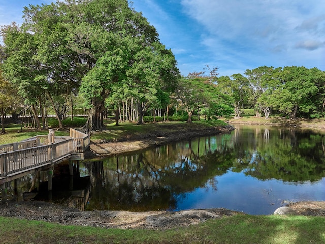 dock area with a water view