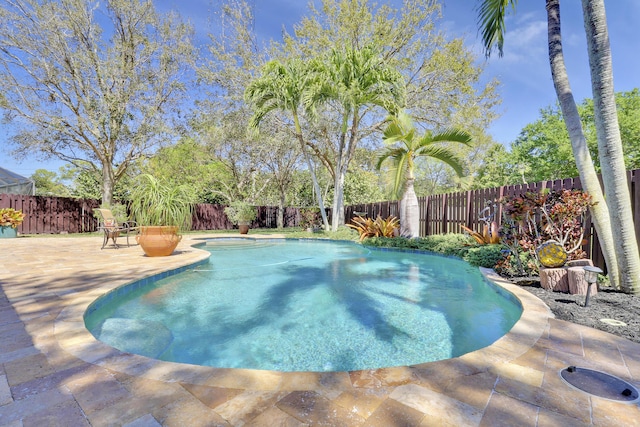 view of pool featuring a patio area, a fenced backyard, and a fenced in pool