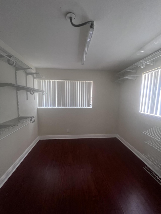 spacious closet with dark wood finished floors