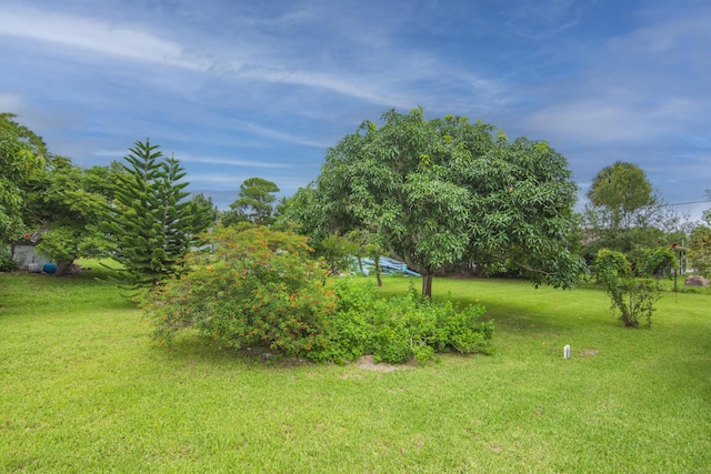 view of yard