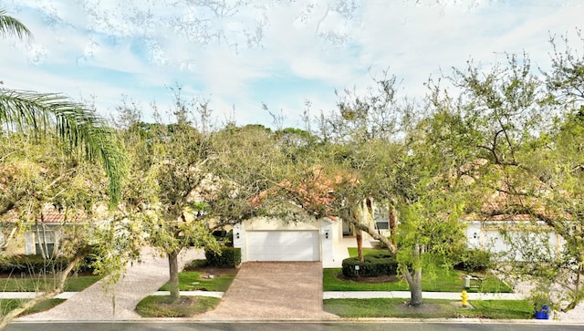 view of property hidden behind natural elements featuring a garage and concrete driveway