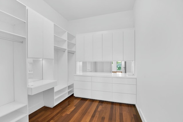 walk in closet featuring dark wood-style flooring