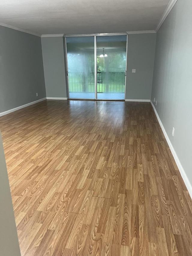 spare room featuring expansive windows, ornamental molding, wood finished floors, and baseboards