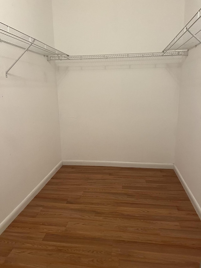 spacious closet featuring wood finished floors