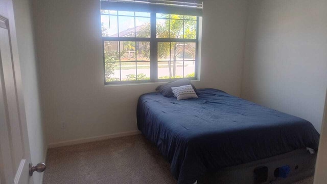6259 NW Regent St, Port Saint Lucie, FL 34983 - carpeted bedroom with baseboards and multiple windows