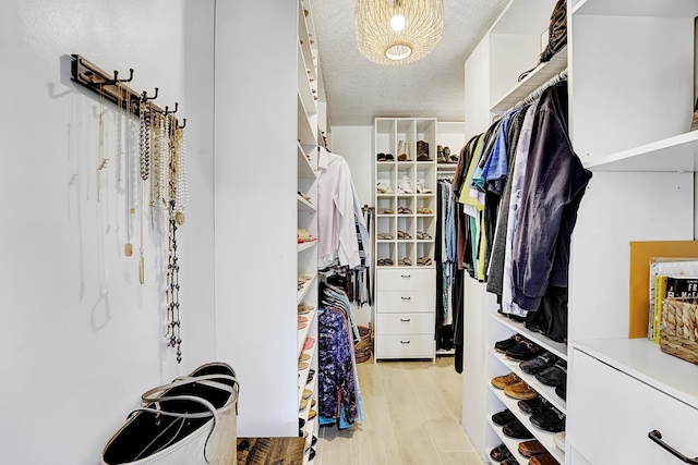 walk in closet featuring wood finished floors