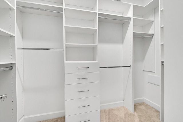 spacious closet featuring light colored carpet