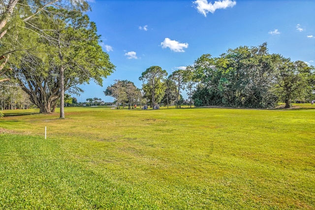 view of property's community with a yard