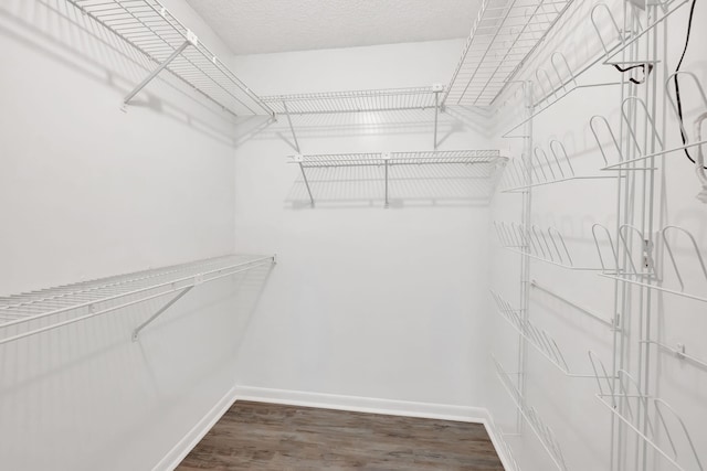 walk in closet with wood finished floors