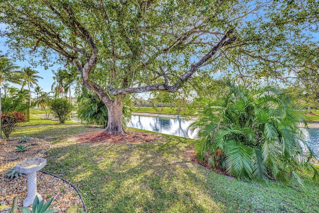 view of yard featuring a water view