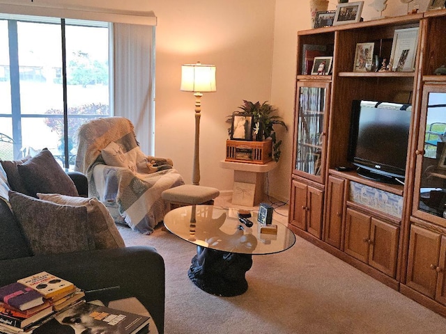 living room with carpet and a wealth of natural light