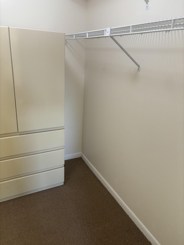 walk in closet featuring carpet flooring