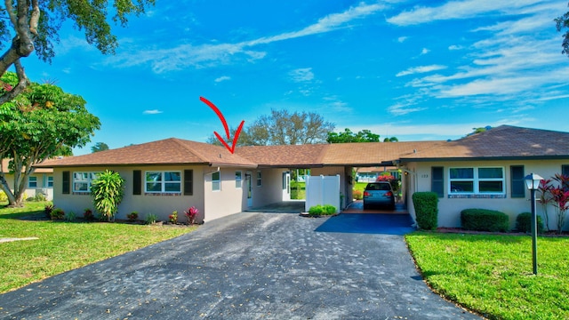 ranch-style house featuring driveway, a carport, a front lawn, and stucco siding