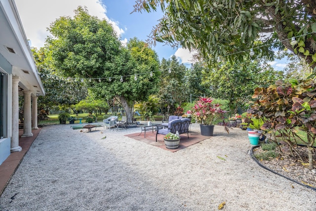 view of yard featuring a patio area