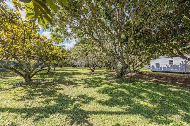 view of yard featuring an outbuilding